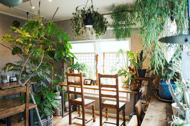 花と緑に囲まれてコーヒーとスイーツを♪二子玉川にあるカフェ併設の花屋さん「入山十百花店（イリヤマジュウヒャッカテン）」