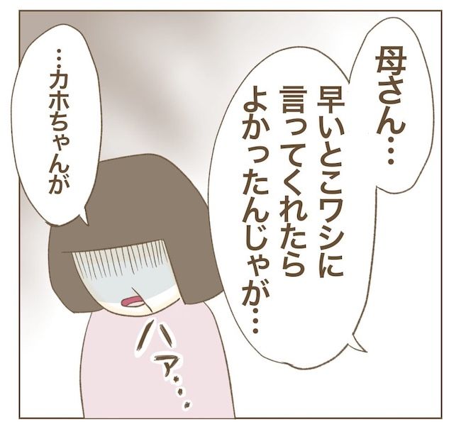 里帰り出産したら実姉がしんどかった件_14話