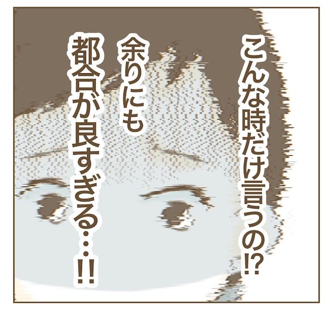 里帰り出産したら実姉がしんどかった件_14話