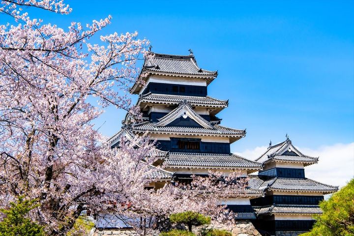 2025年春の「お城人気ランキング」1位は？