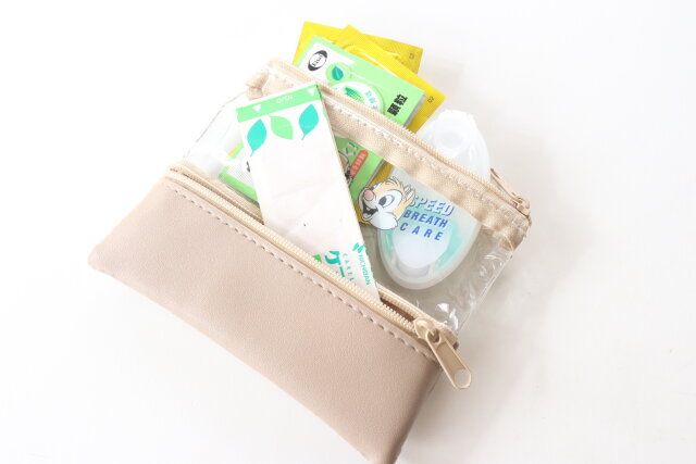 セリアの使い勝手抜群なダブルジッパーポーチ 9×12cm チップ＆デール