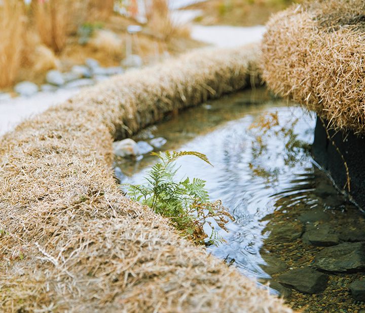 映画作家の河瀨直美氏のパビリオン。奈良県と京都府から譲り受けた3棟の廃校の資材を再活用。