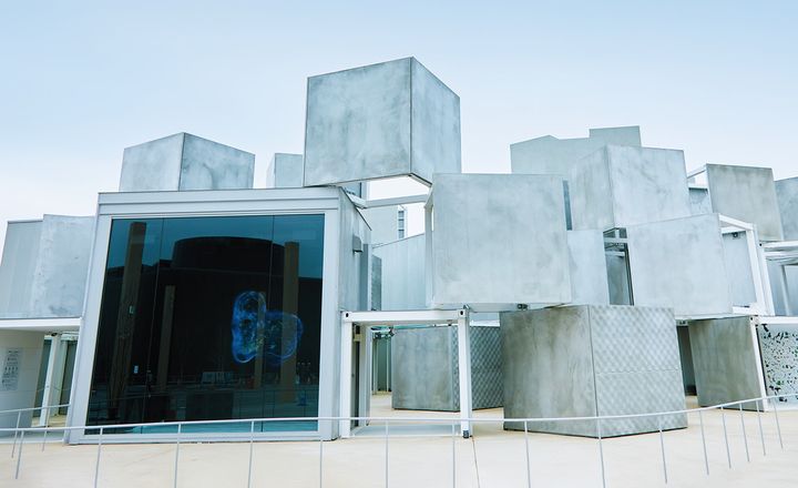 イマーシブ展示とリアル展示で、あらゆる命の繋がりを表現。