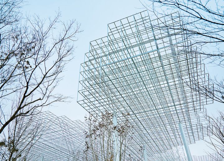 森を舞台に、来場者同士の繋がりや共鳴を促進する体験を。