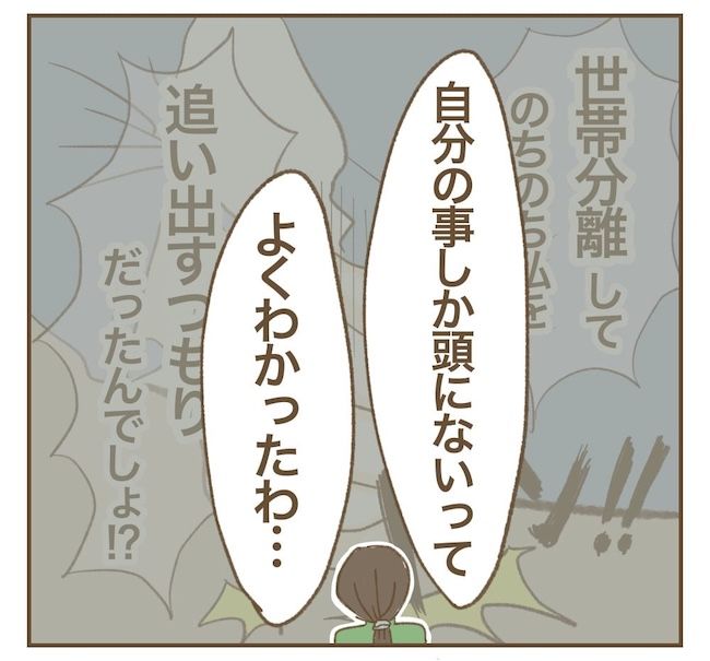 里帰り出産したら実姉がしんどかった件_15話