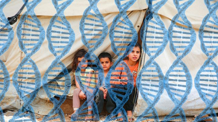 暴力によるトラウマは人間でも遺伝する可能性がある：シリア難民の遺伝子に特定の変化