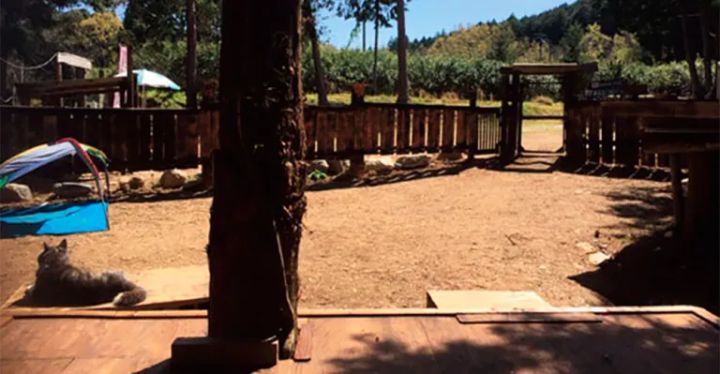 天然温泉に入れる！絶対に行きたいキャンプ場10選【三重県】