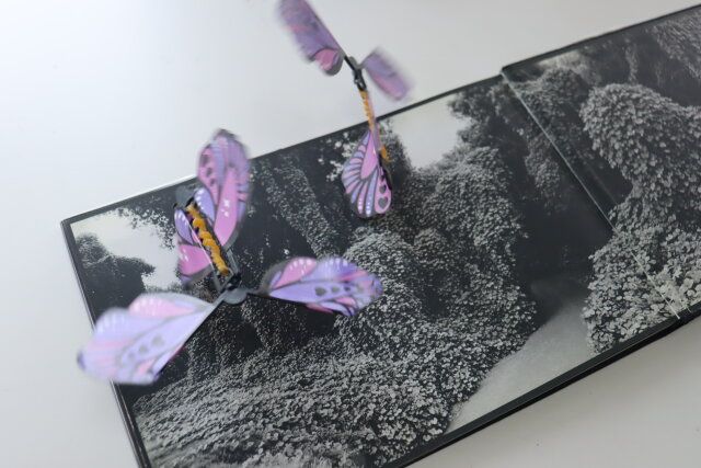 セリアのまるで生きてるようなプレゼントボックス用 とびだすバタフライ