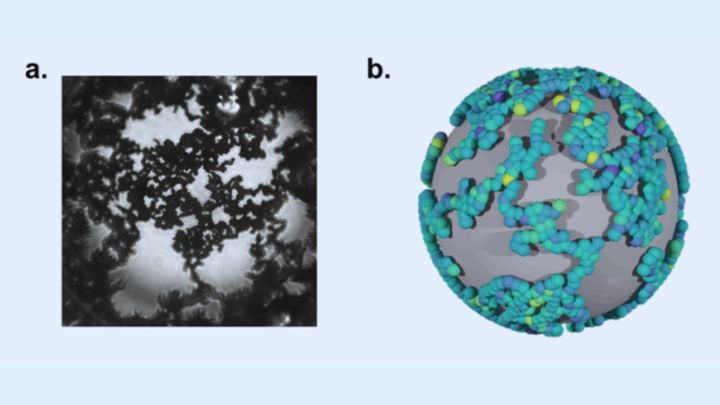 熱力学の法則の例外にみえる現象を発見：形状回復液体とは？