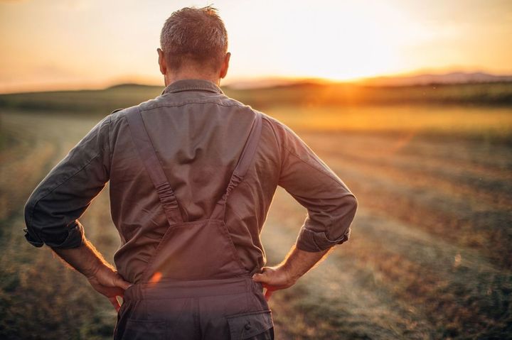 収穫後の夕焼け