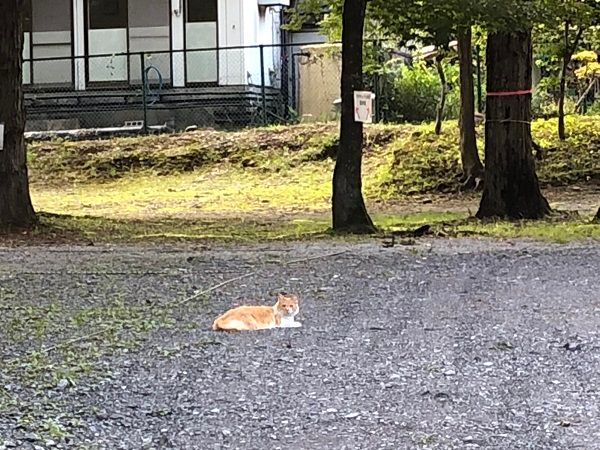 春キャンプでも寒さ対策は必須！上級キャンパーがやってる注意すべきポイントとは？