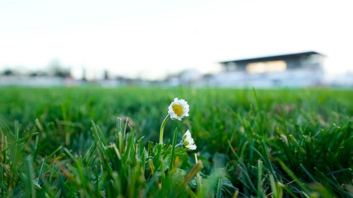 父親が観戦する中で悲劇…試合中の事故で21歳サッカー選手が死去 「ピッチに駆け寄りたくても許されず」