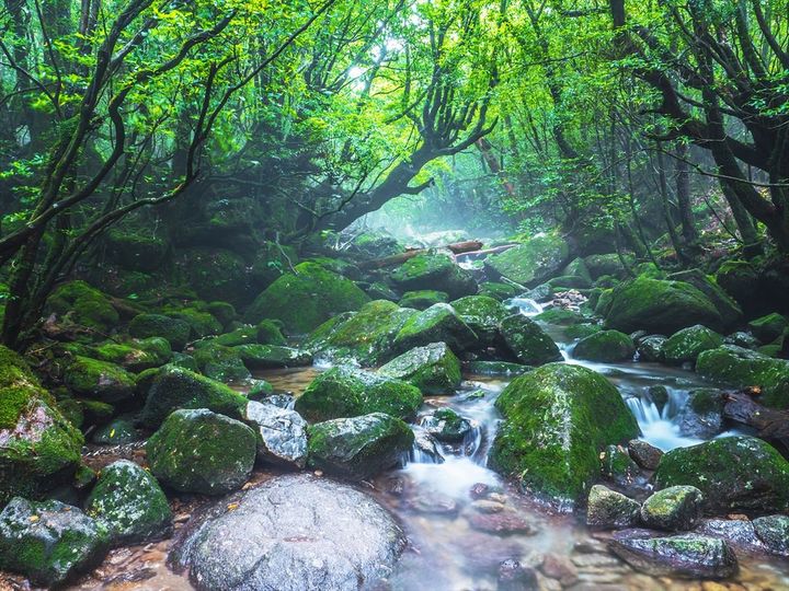 「勉強して行きたくなった」世界遺産は？