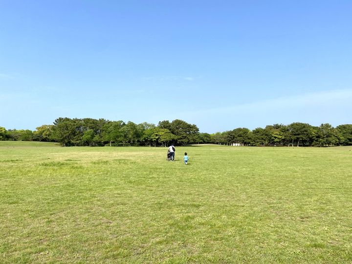 福岡土産はこれ！創業明治39年の博多の民藝お菓子「二○加煎餅」【旅するデザイナーがおすすめするお土産たち！】