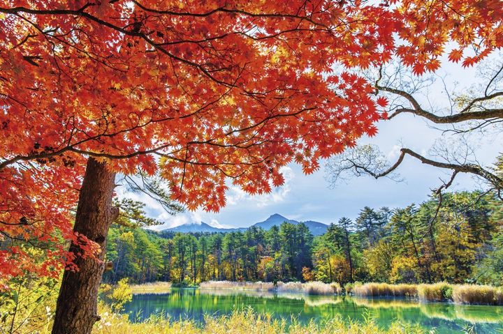 磐梯山の噴火で生まれた湖沼群を巡る