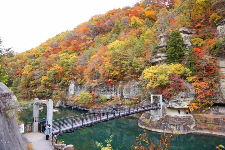 柱状の断崖一帯は樹木に覆われている