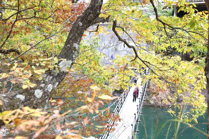 吊り橋の真上から眺めることもできる