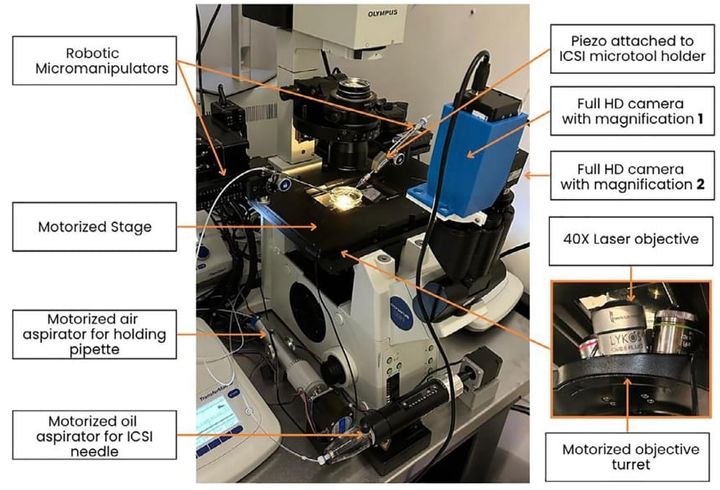 ほぼ完全にAI制御の機械による体外受精で生まれた世界初の赤ちゃん