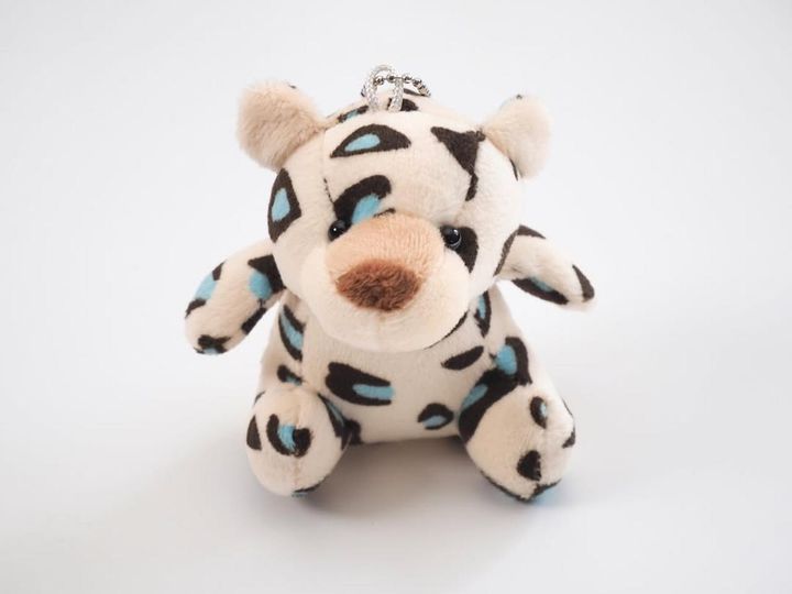 画像1: 出典：ftn_pics