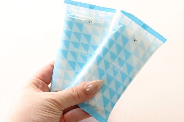 ダイソーのお得なシャワートイレウェットおしりふき（10枚、2個）