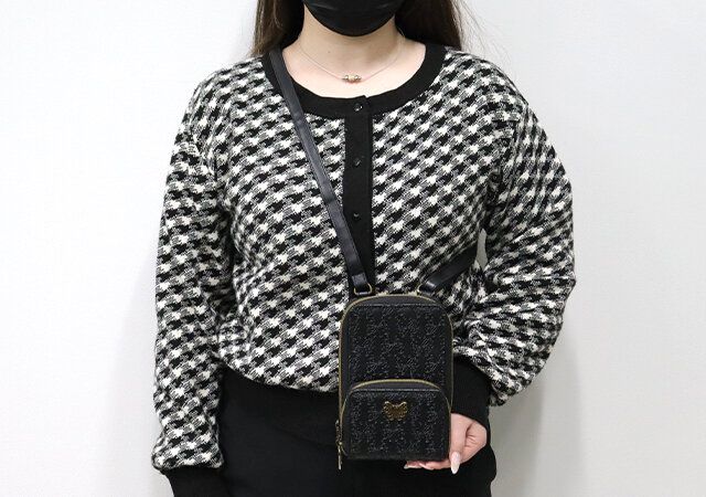 宝島社付録のアナスイミニのじゃばら式スマホショルダー6