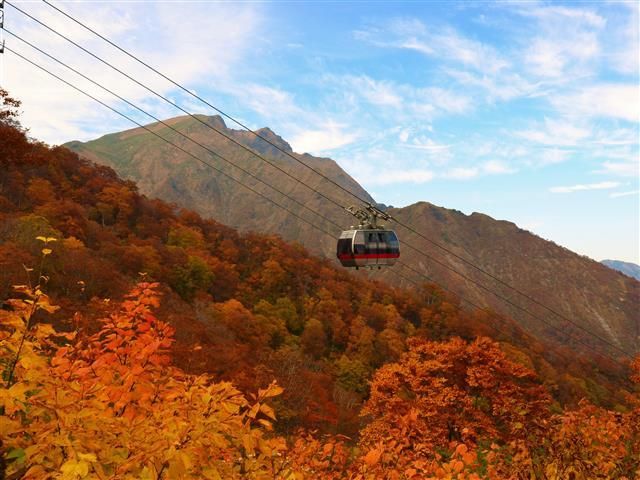 ロープウェイで天神平に上がる途中の紅葉／みなかみ町観光協会