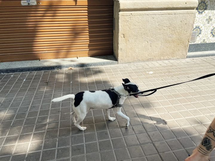 アユニ・Ｄが撮った写真