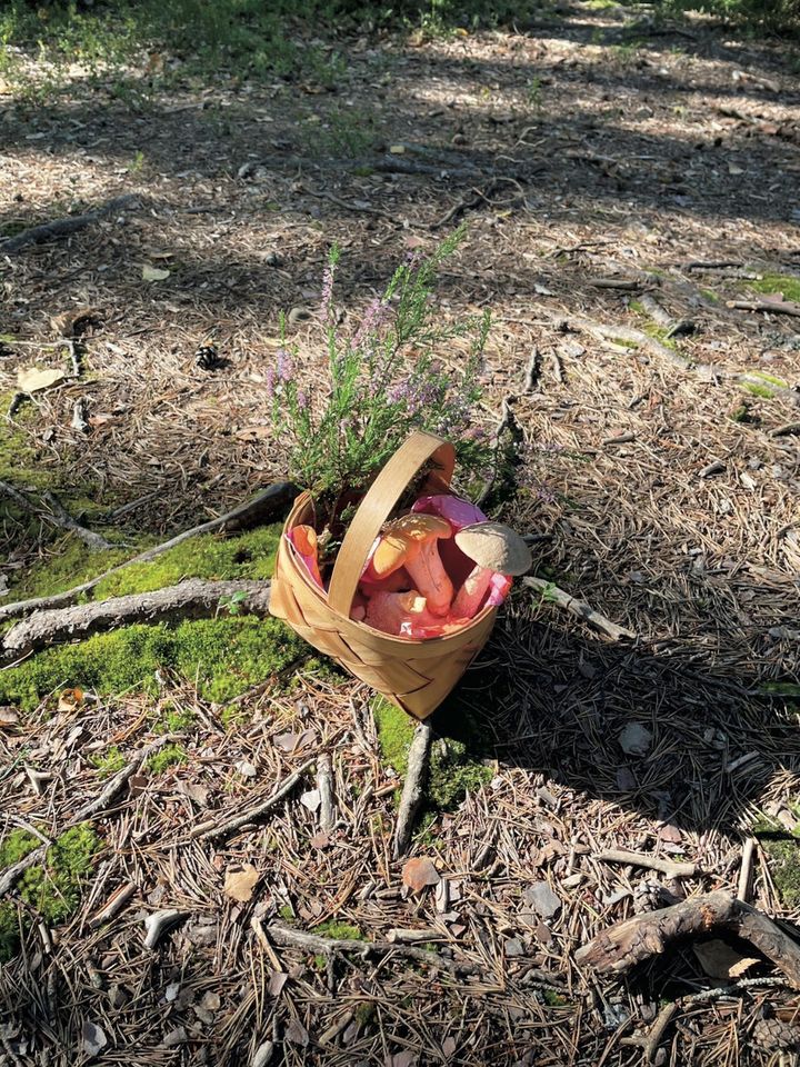 アユニ・Ｄが撮った写真