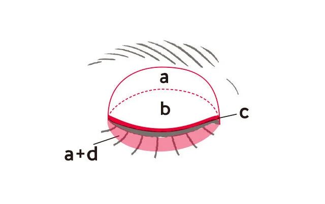 キャンメイク パーフェクトマルチアイズ おすすめの使い方 塗り方MAP