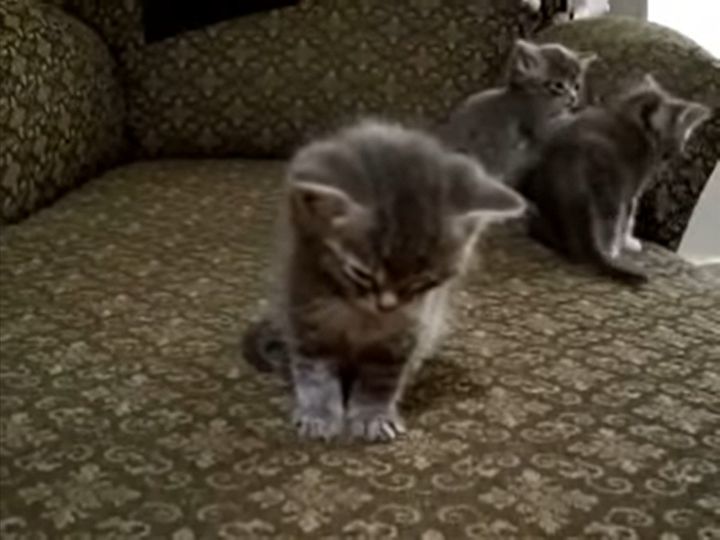 あっ…寝ちゃいそう…