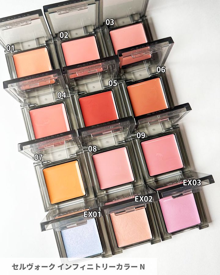 セルヴォーク インフィニトリーカラー N