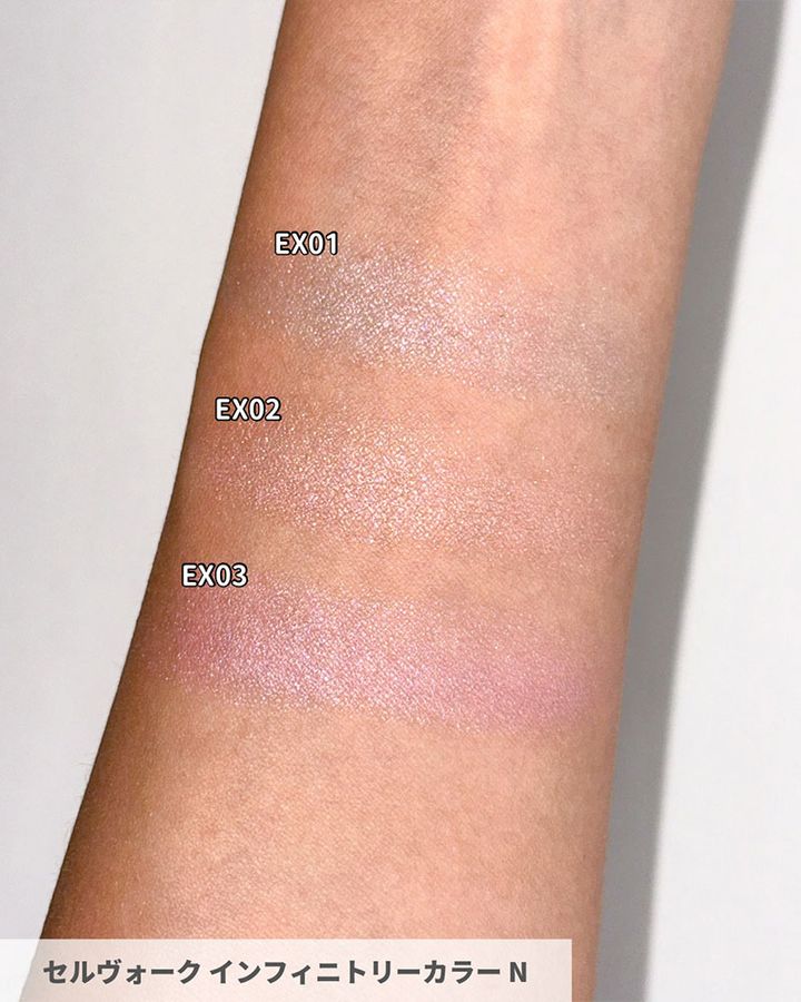 セルヴォーク インフィニトリーカラー N