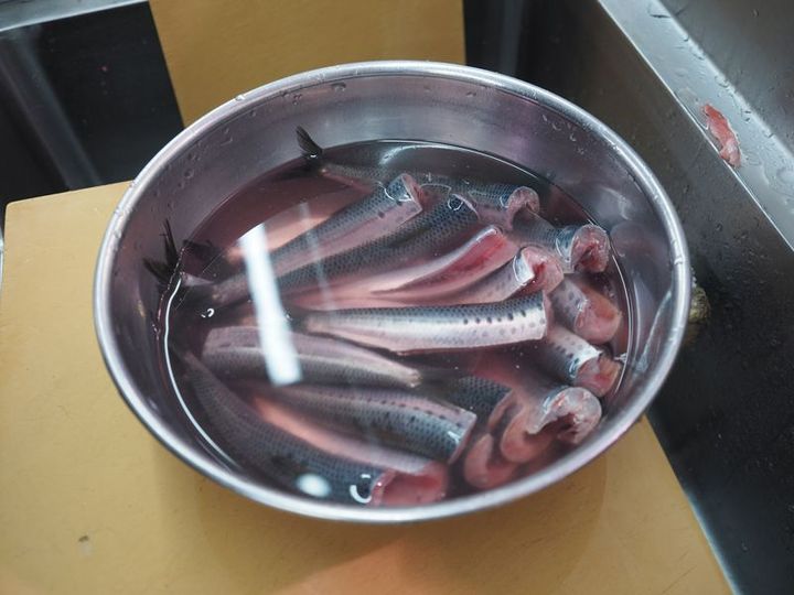 さばいたイワシは真水に浸して血抜きする。何度か水を変えて、血で濁らなくなったら下処理完了