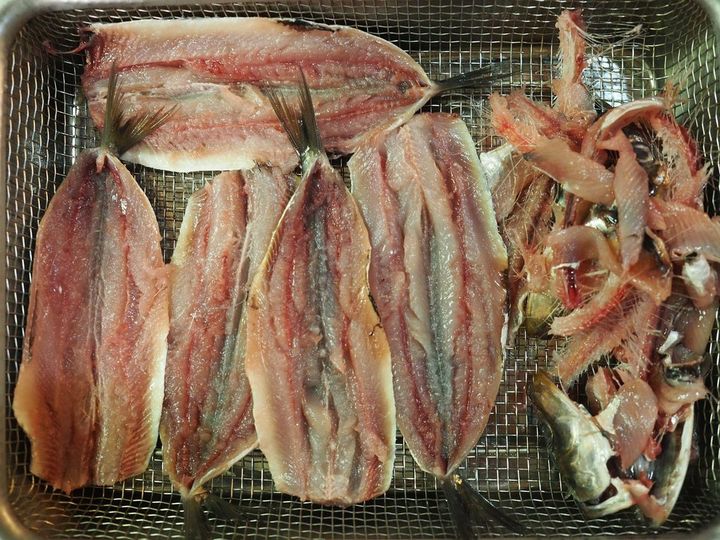 筆者が手開きでさばいたイワシ。下手でボロボロになっても自宅用だから問題ない。頭と骨も捨てずにダシに使う