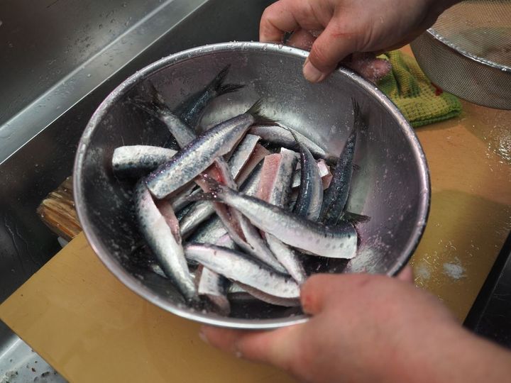 イワシを入れたボウルに塩をひとつかみ。ボウルをゆすればイワシを触らずに塩をまぶせる