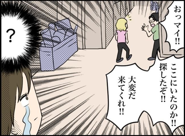 カボチャとシンデレラ／イルカ