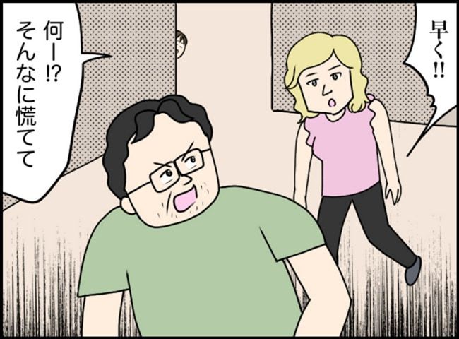 カボチャとシンデレラ／イルカ