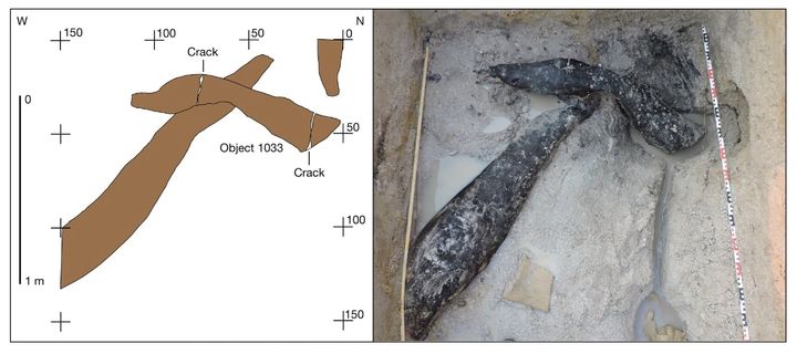 発見された一対の丸太の組み合わせ