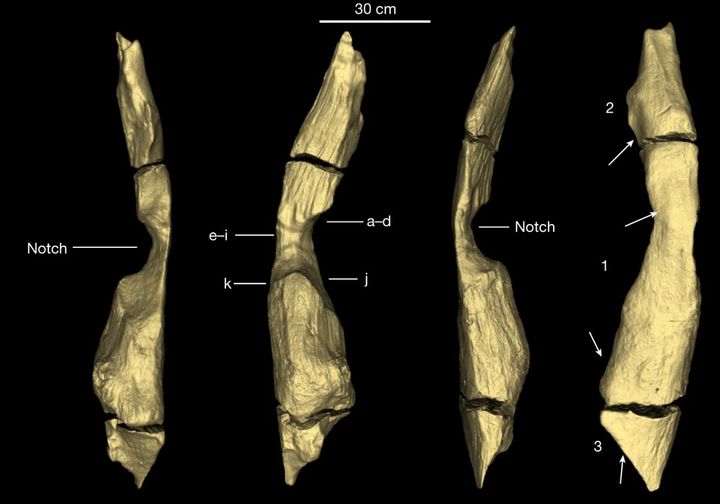 中央部に窪みの加工（用途は不明だが左右に意図的な割れ目も掘られている）