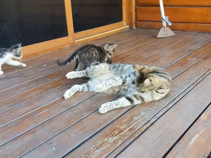 意外なオチに大反響！