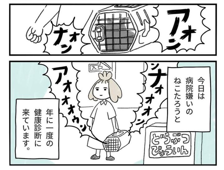 漫画「病院嫌いな猫」のカット（み・ちこさん提供）