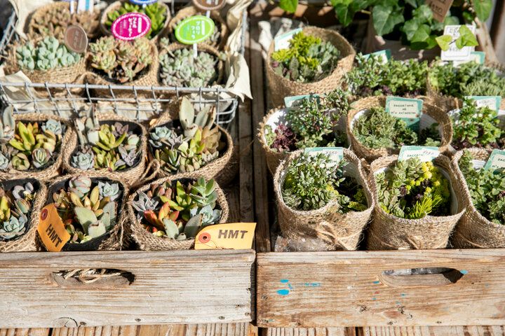 鎌倉の街歩きでふらりと立ち寄ってお買い物♪暮らしをナチュラルに整える雑貨屋さん「HMT」