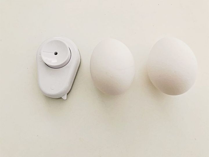 半熟卵を作るのに必要な材料