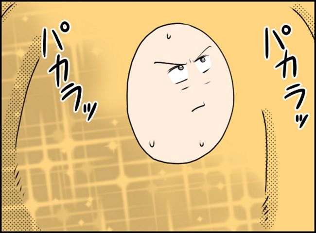 カボチャとシンデレラ／イルカ