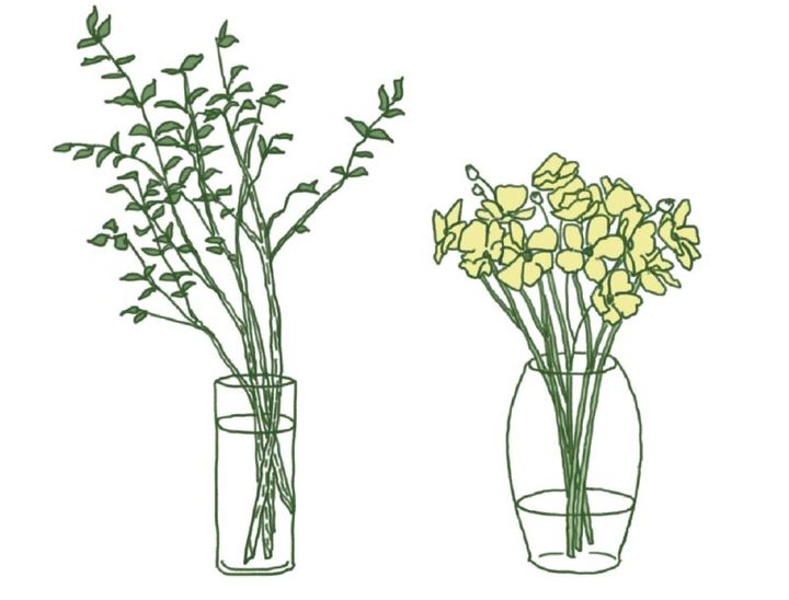 花の手入れ方、水の分量