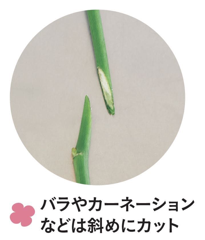 花の手入れ方法、茎の切り方