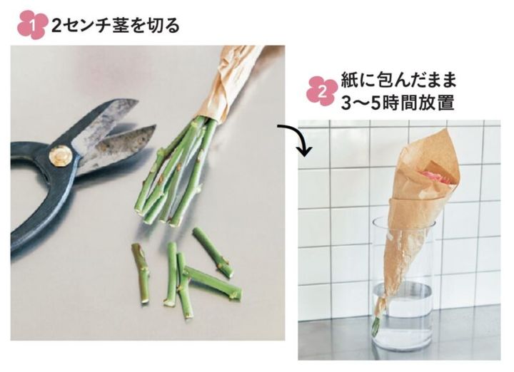 花の手入れ方、花を買ってきたらまずやること