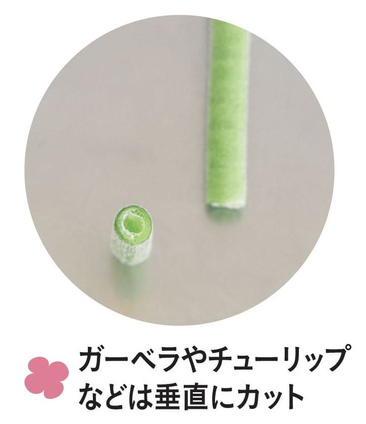 花の手入れ方法、茎の切り方