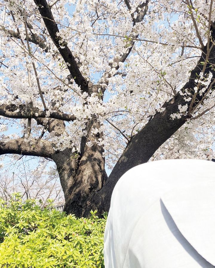 この春は、子どもと散歩がしたい