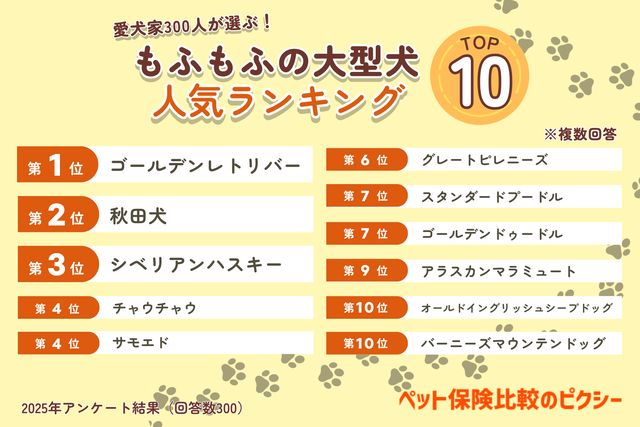 もふもふの大型犬人気ランキング